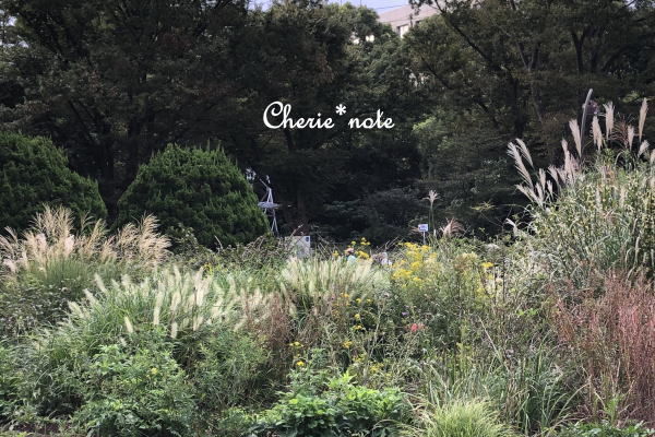 f:id:cherie-b:20190930114555j:plain