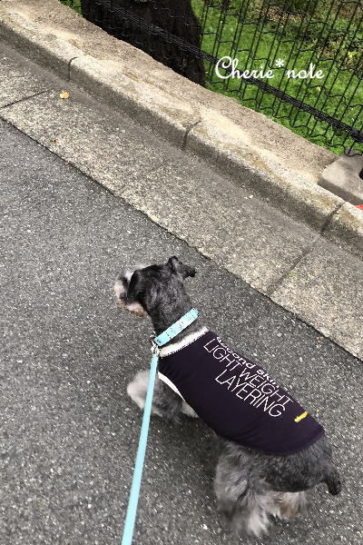 f:id:cherie-b:20191027183431j:plain