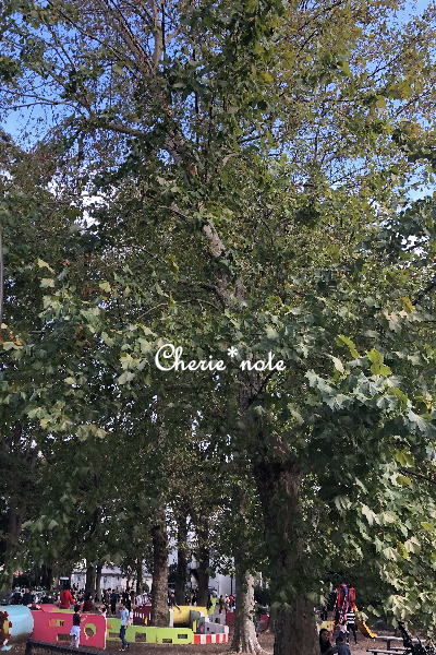 f:id:cherie-b:20191027183439j:plain