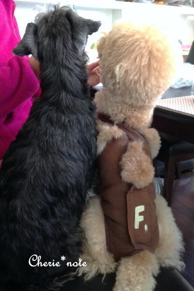 f:id:cherie-b:20200516232618j:plain