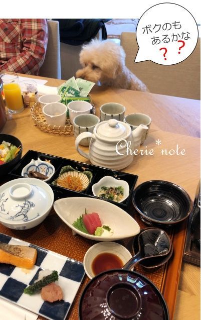 f:id:cherie-b:20201103150754j:plain