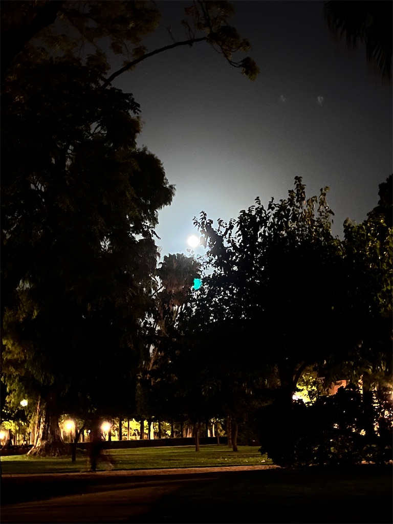 f:id:cherry46:20221113183812j:image f:id:cherry46:20221113183812j:image