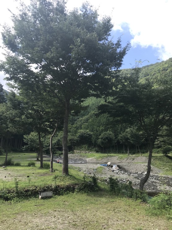 f:id:cherry_fisher:20180831180223j:plain