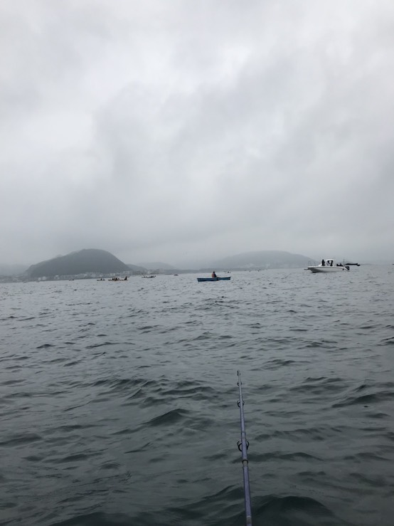 f:id:cherry_fisher:20180927194138j:plain