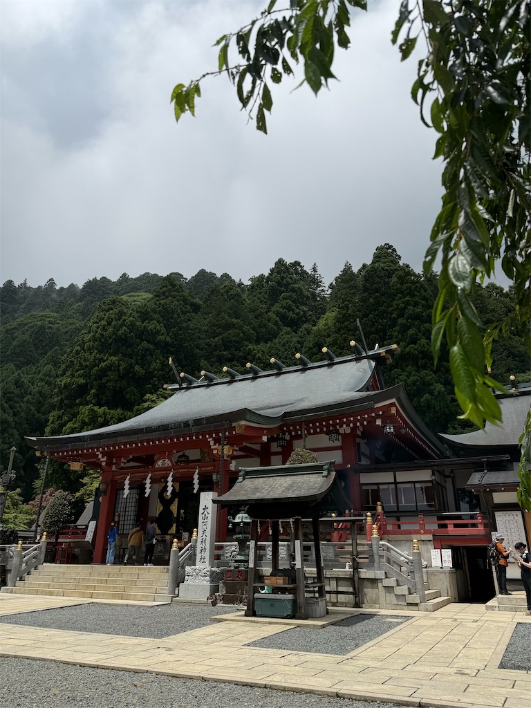 f:id:cherry_szk:20260719181910j:image f:id:cherry_szk:20260719181910j:image