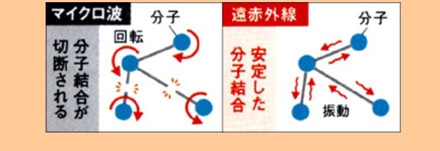 f:id:cherrylot:20200717102312j:image f:id:cherrylot:20200717102312j:image