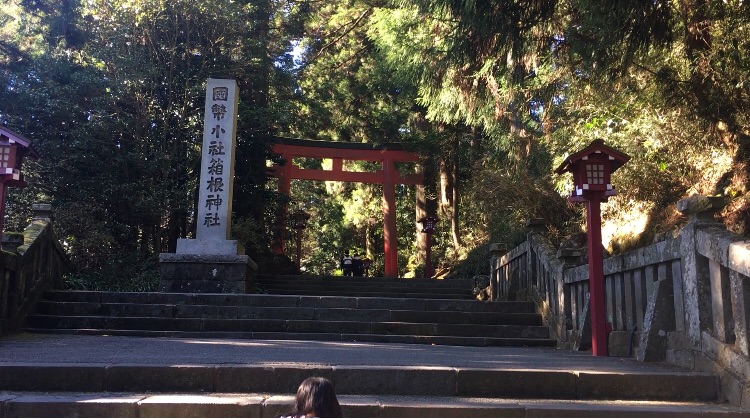 f:id:cherrylot:20201210085732j:image