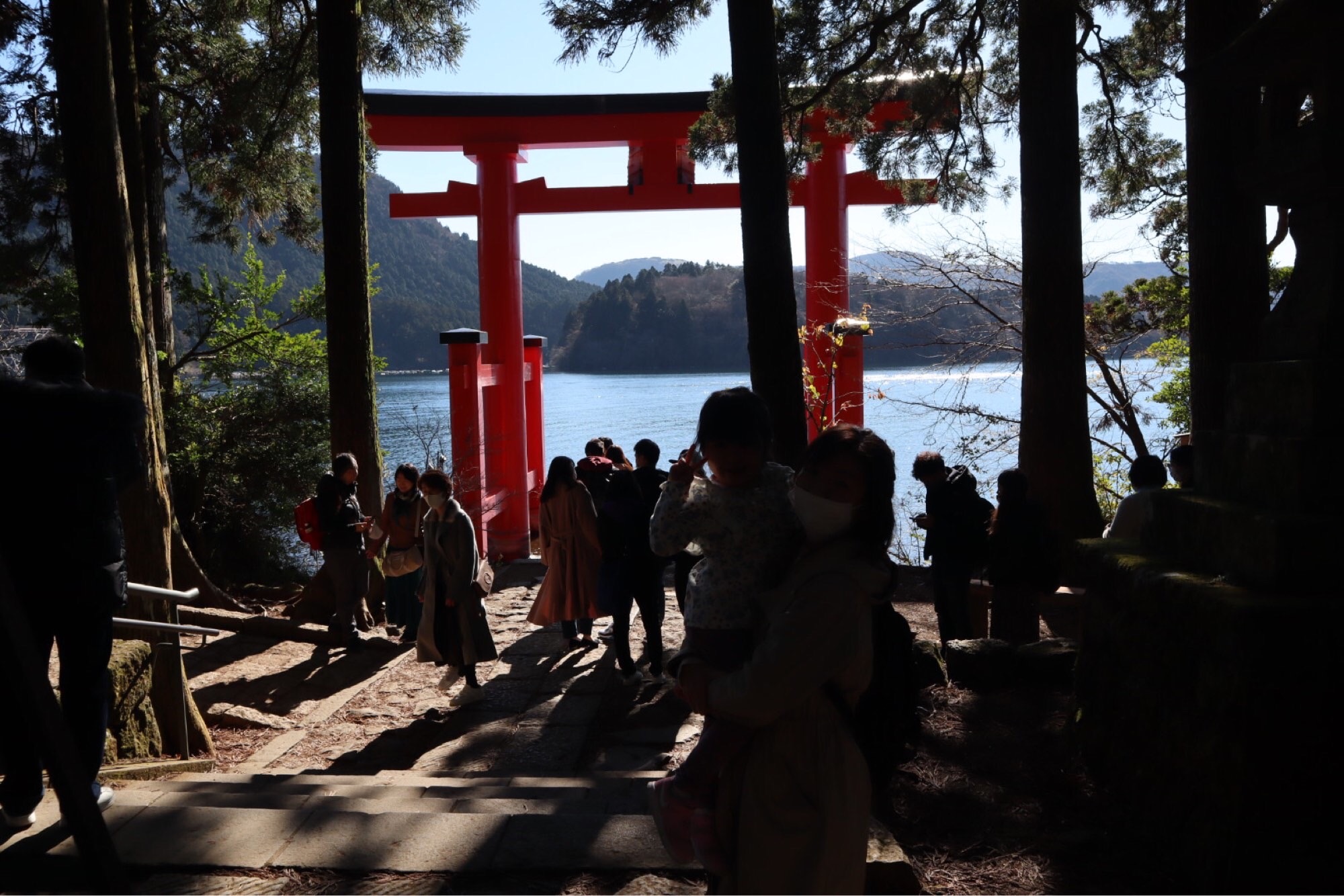 f:id:cherrylot:20201210085748j:image