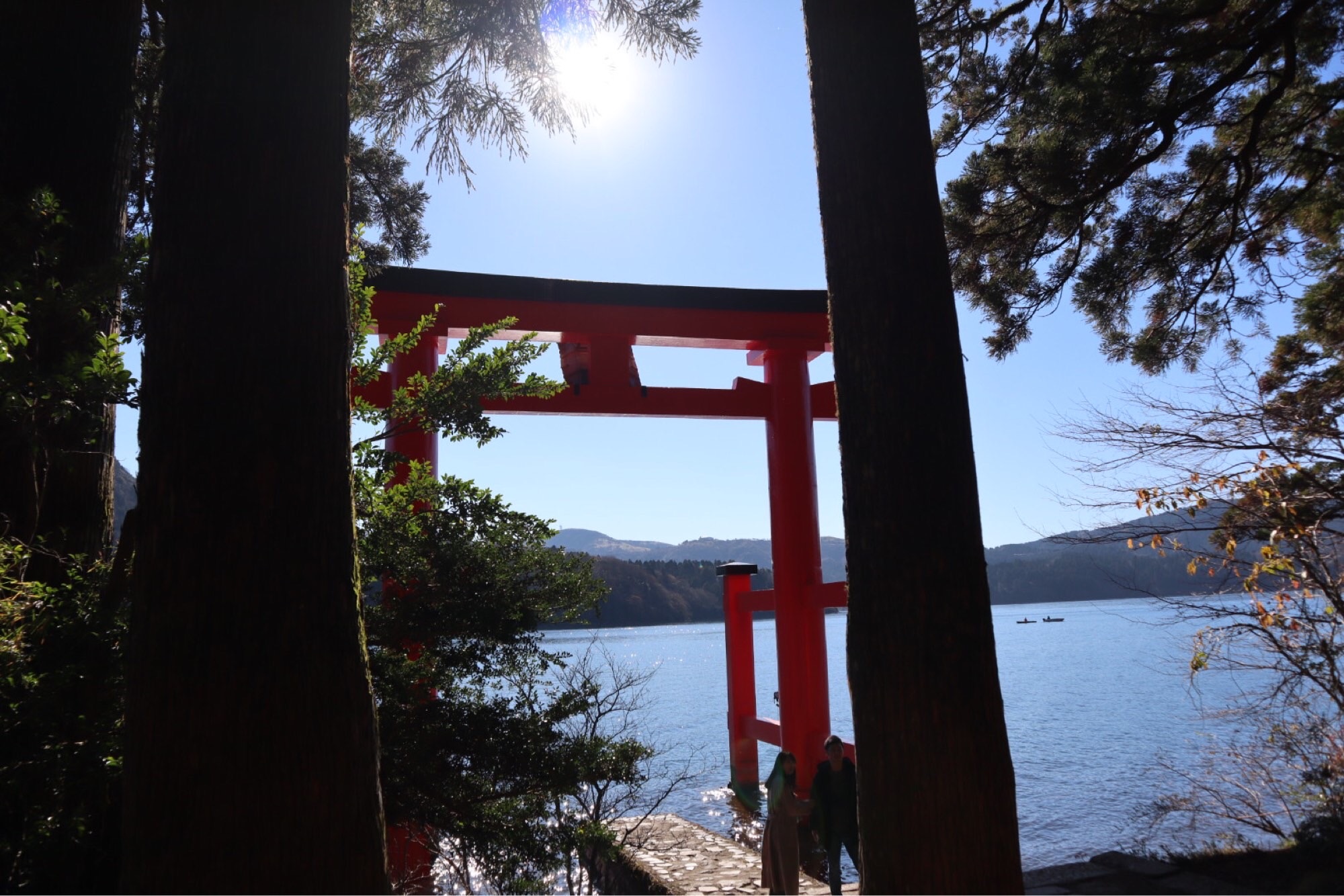 f:id:cherrylot:20201210085752j:image