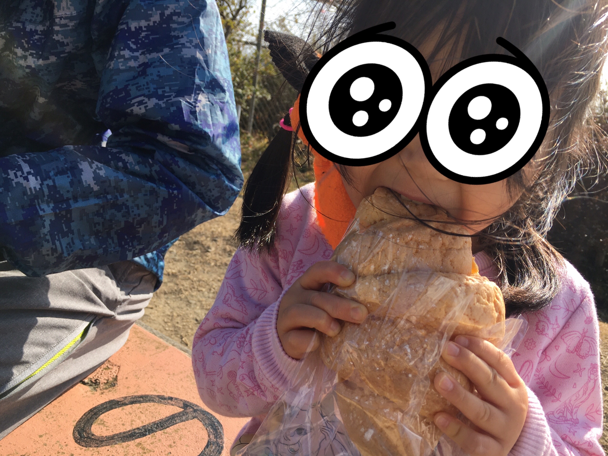 f:id:cherrylot:20210123215108j:image