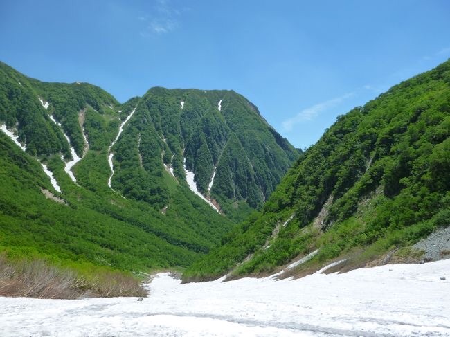 f:id:cherrylot:20210315223312j:image