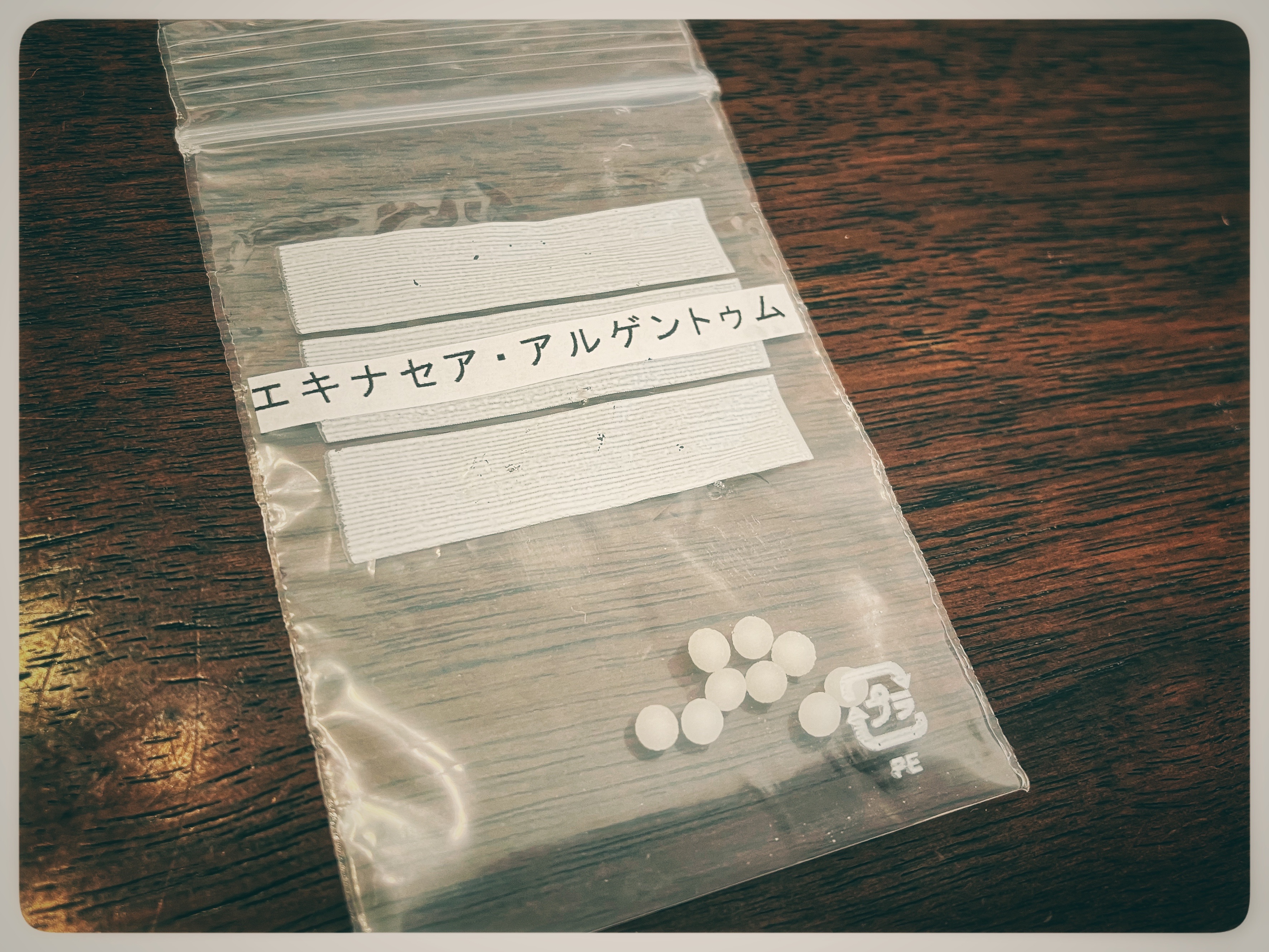 f:id:cherrylot:20230226183101j:image