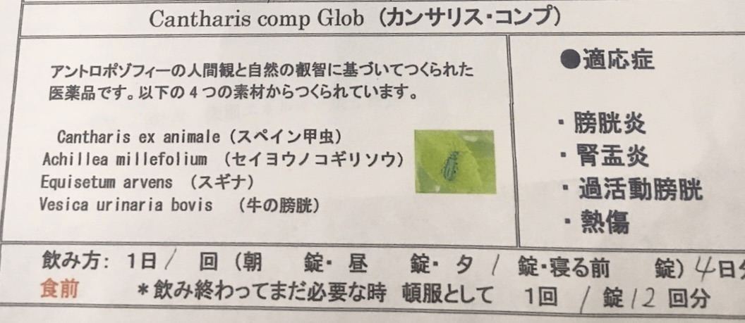 f:id:cherrylot:20230412110323j:image