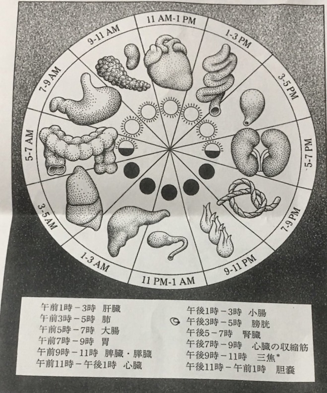 f:id:cherrylot:20230412110334j:image