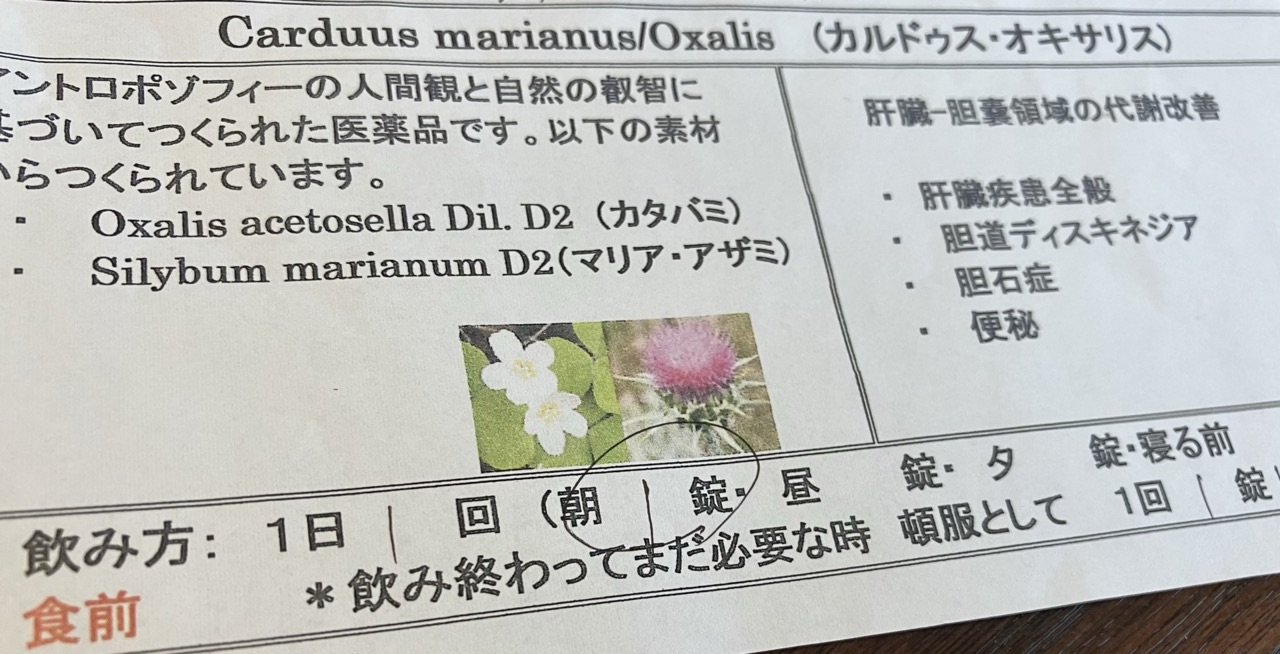 f:id:cherrylot:20230412110358j:image