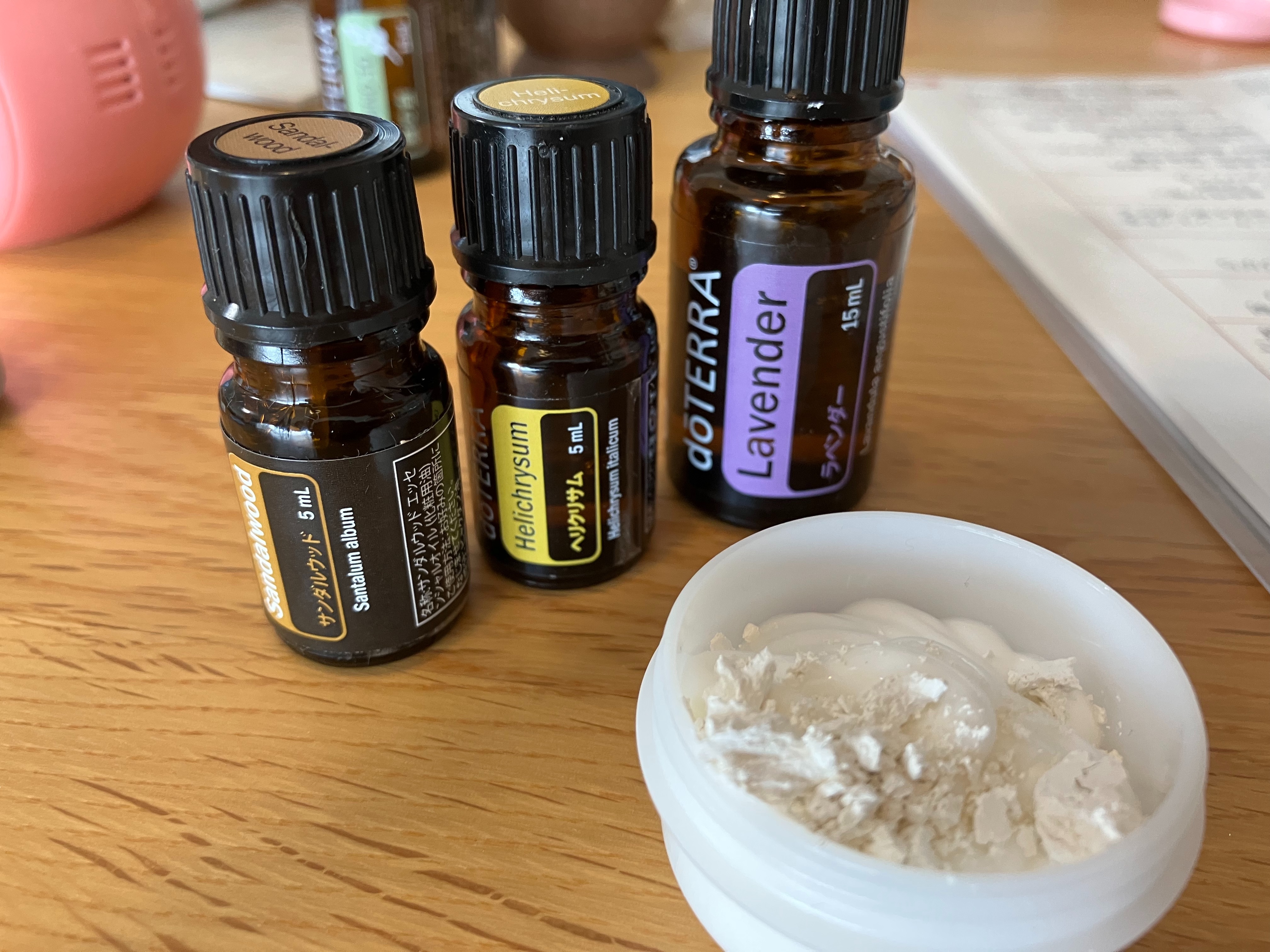 f:id:cherrylot:20230627055153j:image f:id:cherrylot:20230627055153j:image