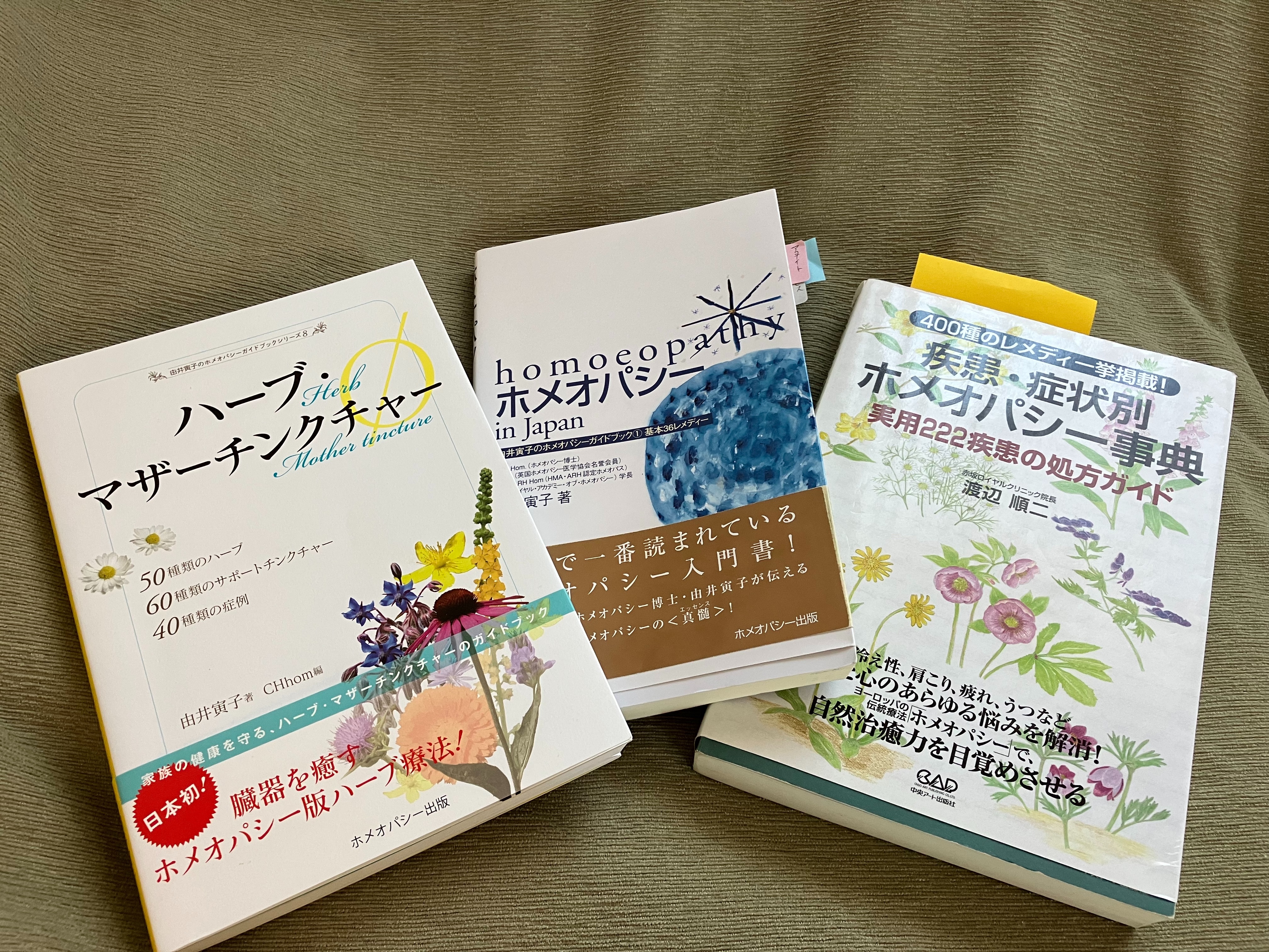 f:id:cherrylot:20230712111003j:image f:id:cherrylot:20230712111003j:image