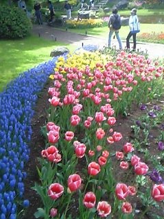 f:id:cherrymarnier:20060502001402j:image