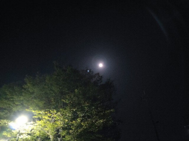 f:id:cherryoulife:20201002000353j:image