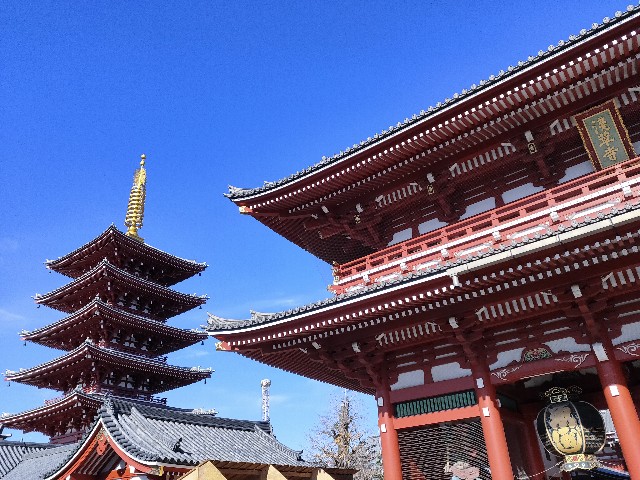f:id:cherryoulife:20201224232311j:image