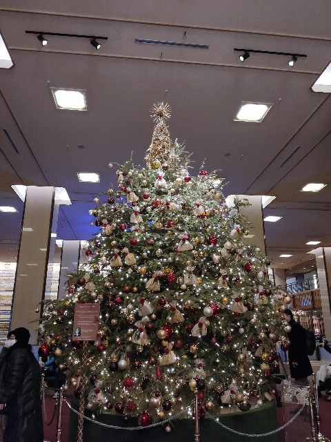 f:id:cherryoulife:20201224232523j:image