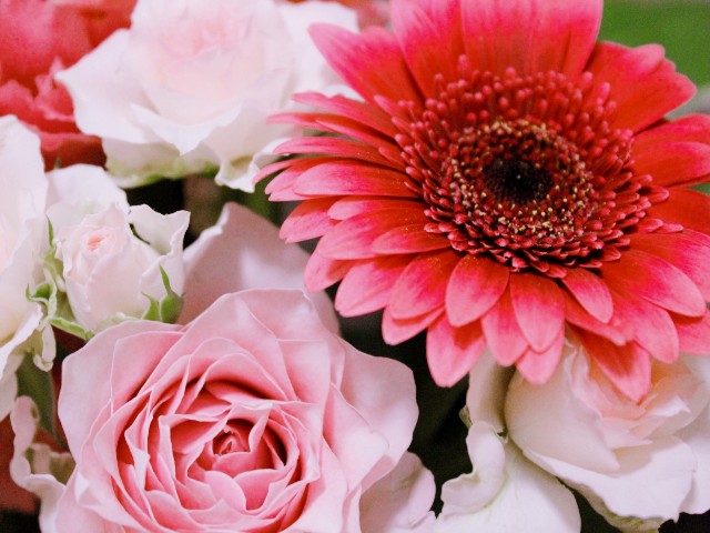 f:id:cherryoulife:20210930021628j:image f:id:cherryoulife:20210930021628j:image
