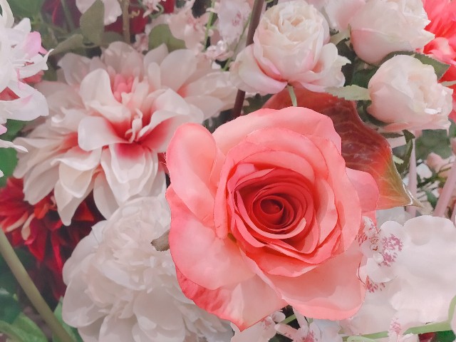 f:id:cherryoulife:20220118014800j:image f:id:cherryoulife:20220118014800j:image