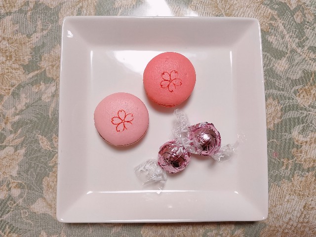f:id:cherryoulife:20220220022032j:image