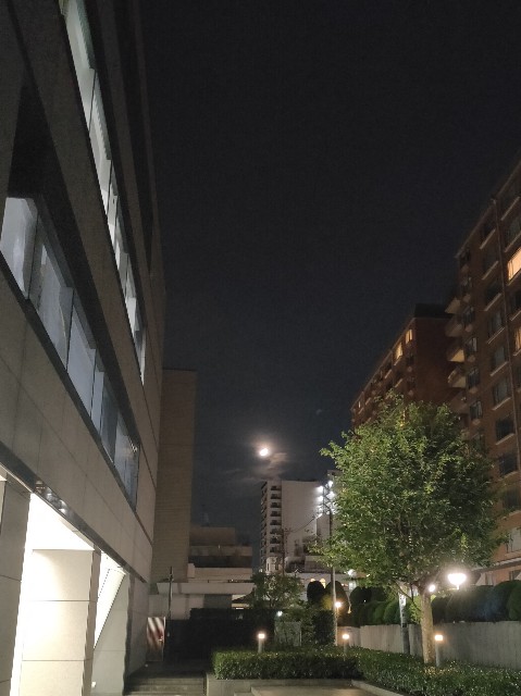f:id:cherryoulife:20221005022627j:image