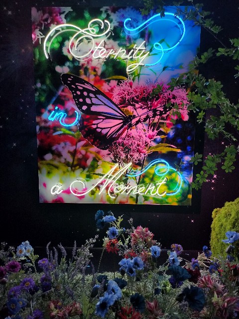 f:id:cherryoulife:20240121005837j:image f:id:cherryoulife:20240121005837j:image
