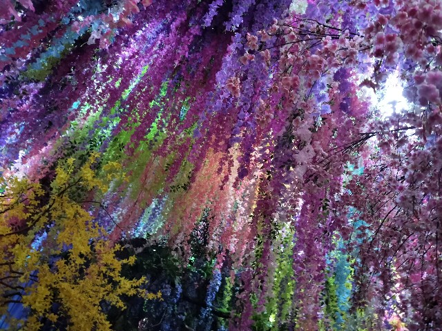 f:id:cherryoulife:20240121010057j:image f:id:cherryoulife:20240121010057j:image