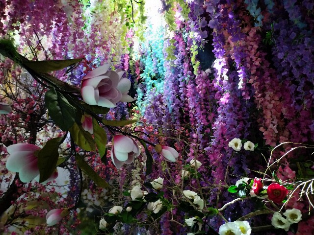 f:id:cherryoulife:20240121010338j:image f:id:cherryoulife:20240121010338j:image