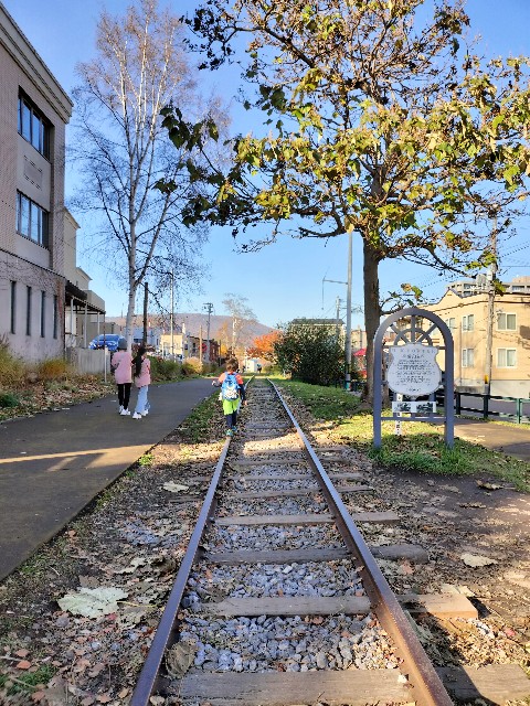 f:id:cherryoulife:20241118014737j:image f:id:cherryoulife:20241118014737j:image