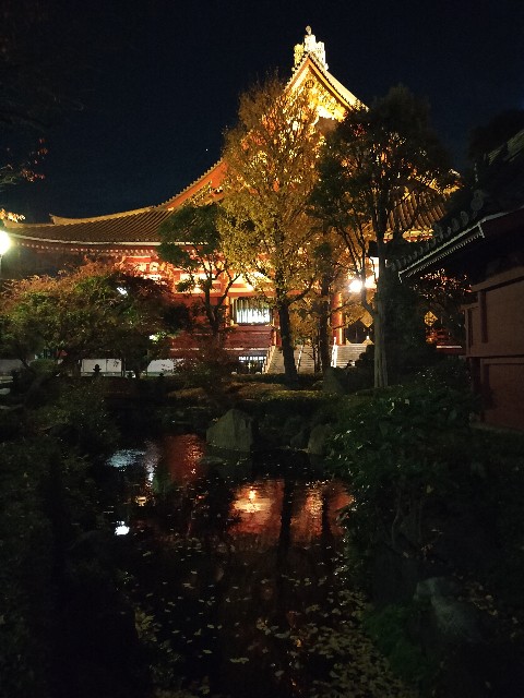 f:id:cherryoulife:20241208005057j:image