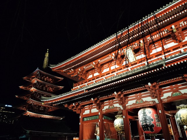 f:id:cherryoulife:20241208005223j:image