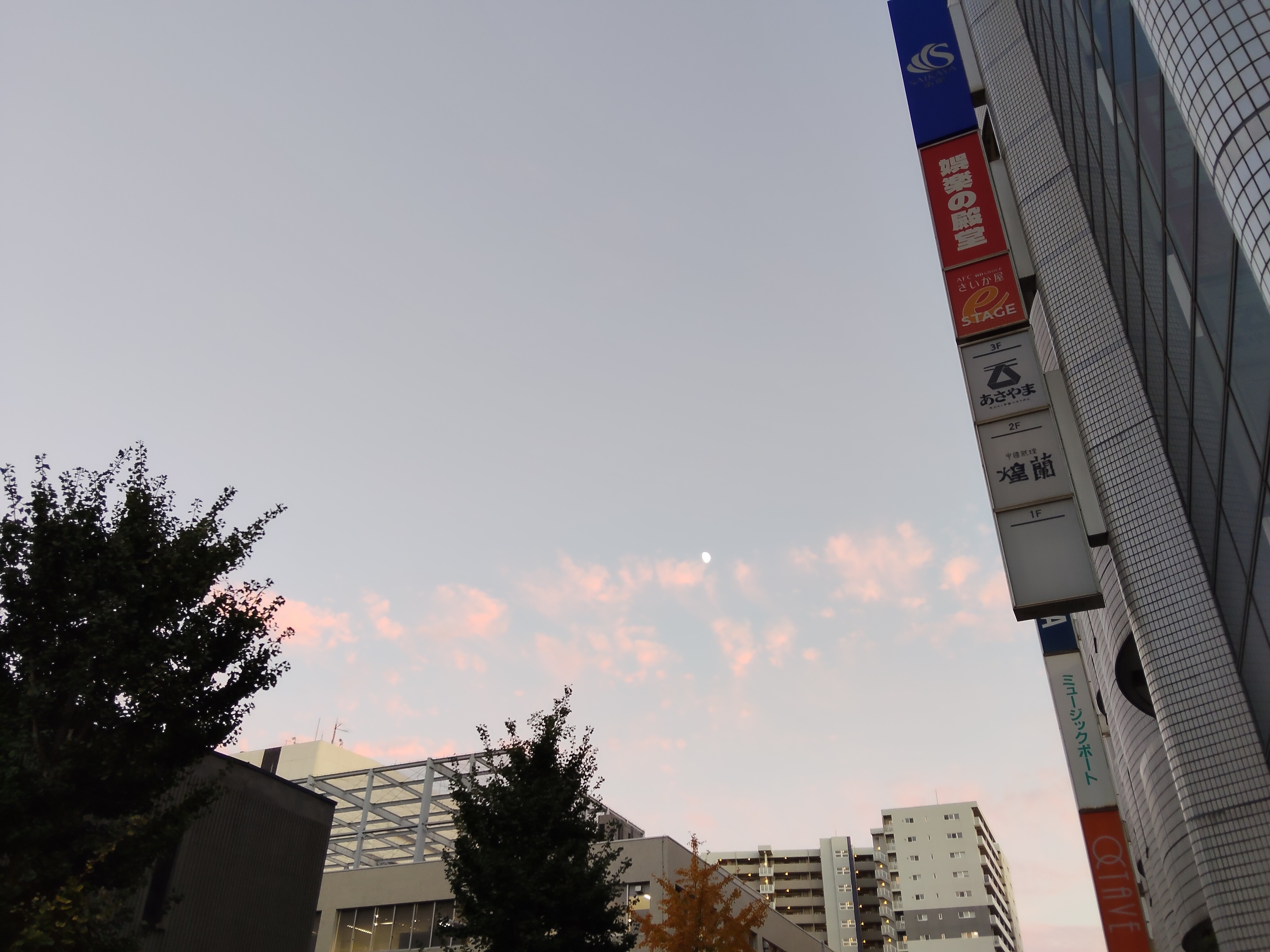 f:id:cherryoulife:20251102002115j:image