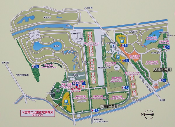 大宮 大宮第二公園 さいたま市で大人のお花見が楽しめるのはココ さいたまよいとこ