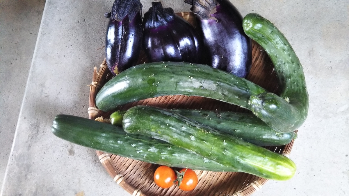 f:id:cherusi-kitchen:20200609225923j:plain f:id:cherusi-kitchen:20200609225923j:plain
