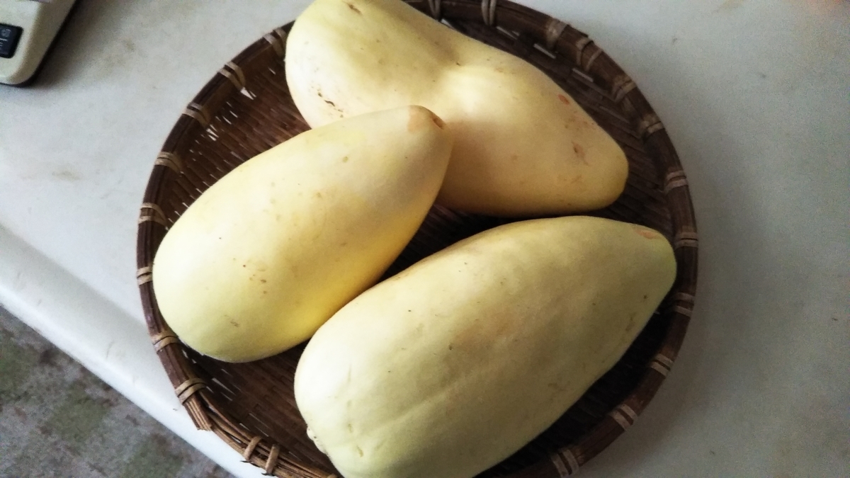 f:id:cherusi-kitchen:20200828001339j:plain