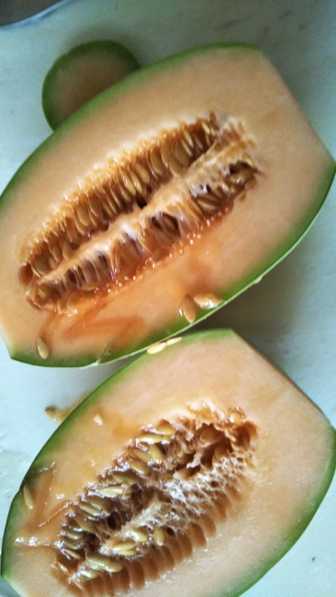 f:id:cherusi-kitchen:20200828002551j:plain