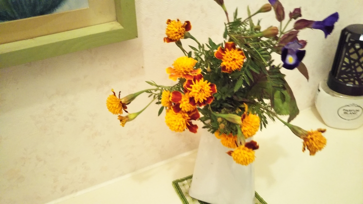 f:id:cherusi-kitchen:20201101231340j:plain