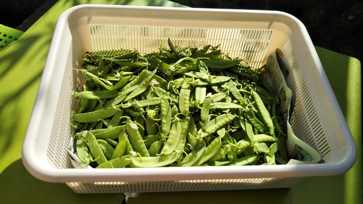 f:id:cherusi-kitchen:20210508011338j:plain