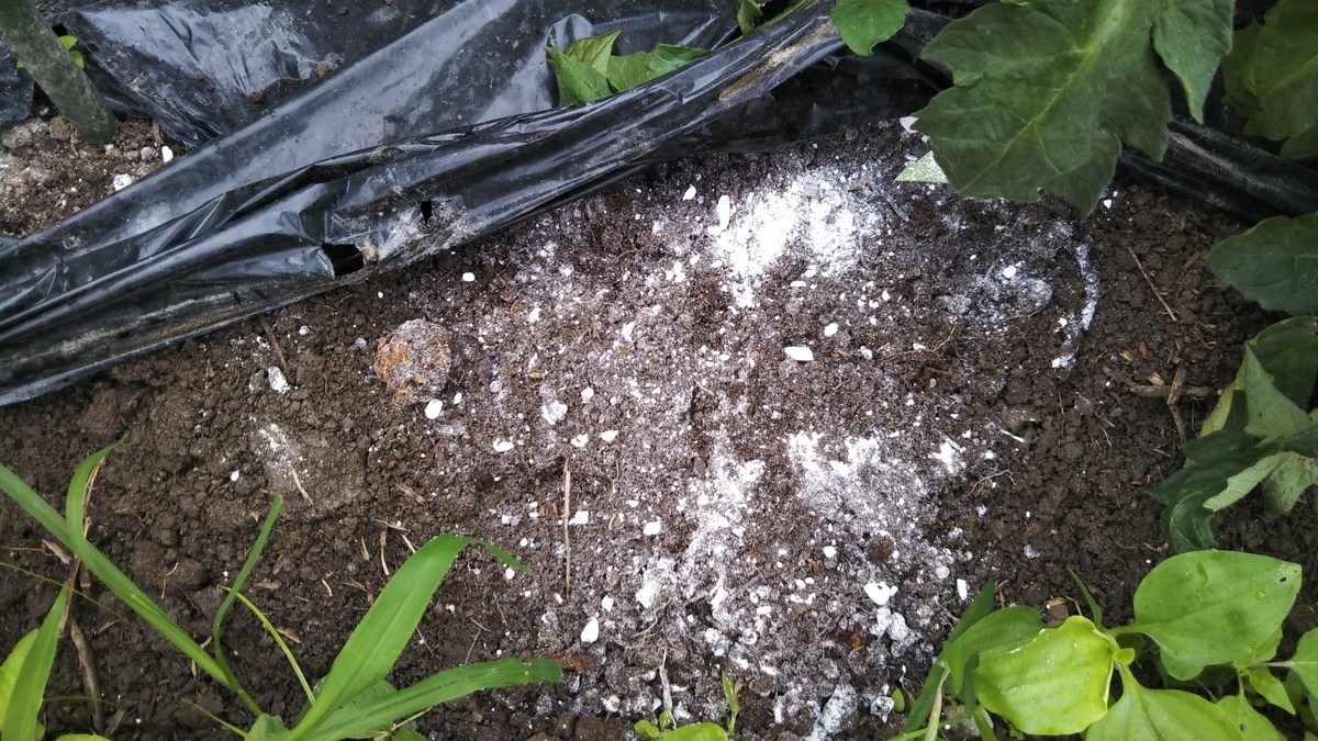 f:id:cherusi-kitchen:20210708103013j:plain