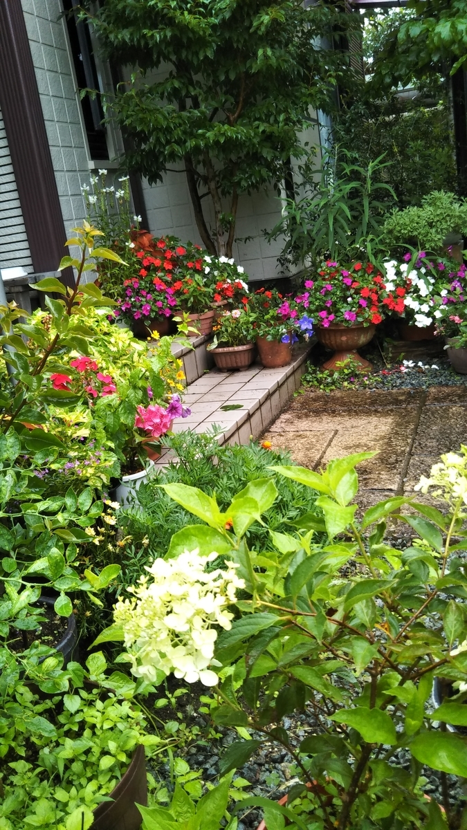 f:id:cherusi-kitchen:20210708105851j:plain