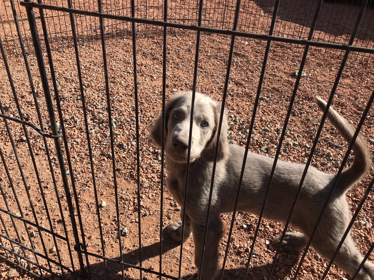 f:id:cherusi-kitchen:20220125194932j:plain