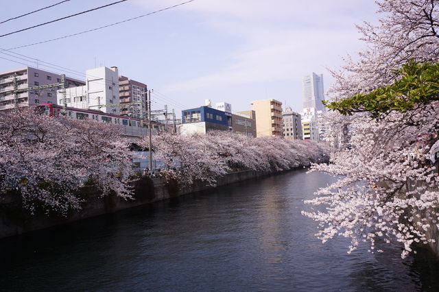フォト