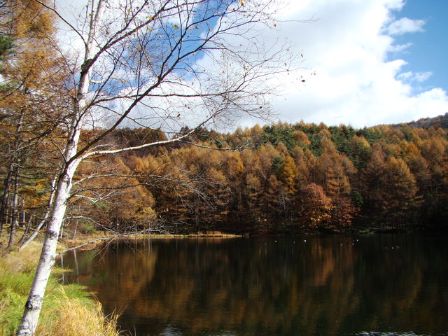 フォト