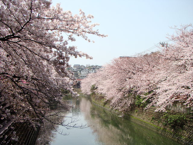 フォト