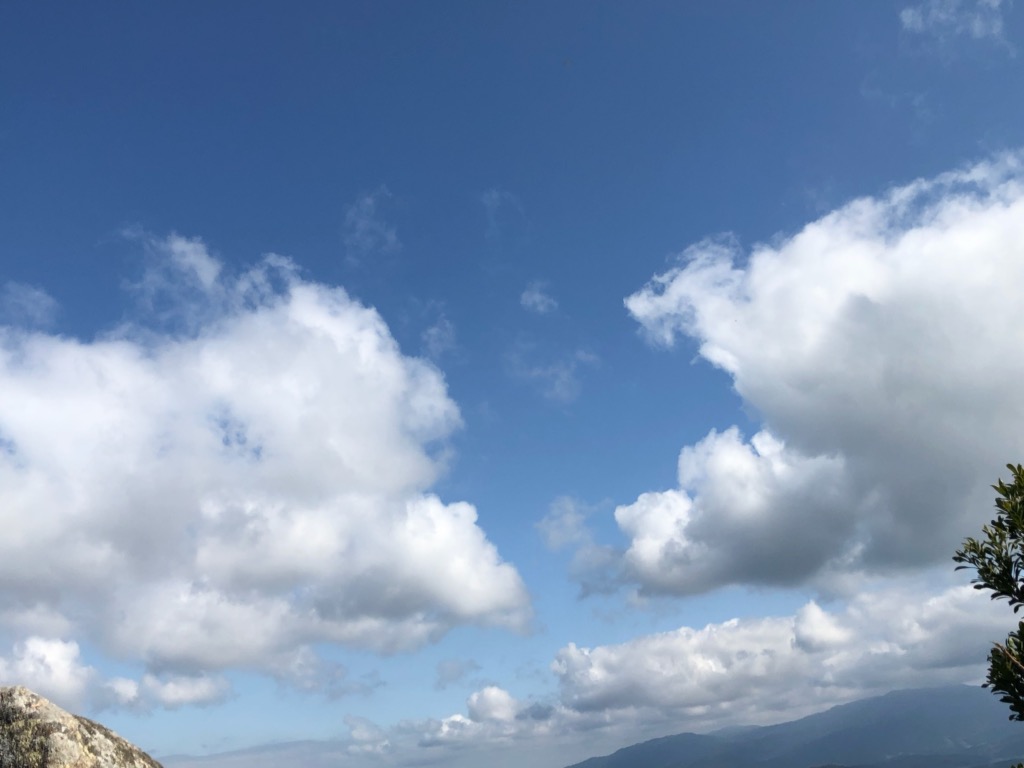 f:id:chezk087:20200310231716j:plain f:id:chezk087:20200310231716j:plain