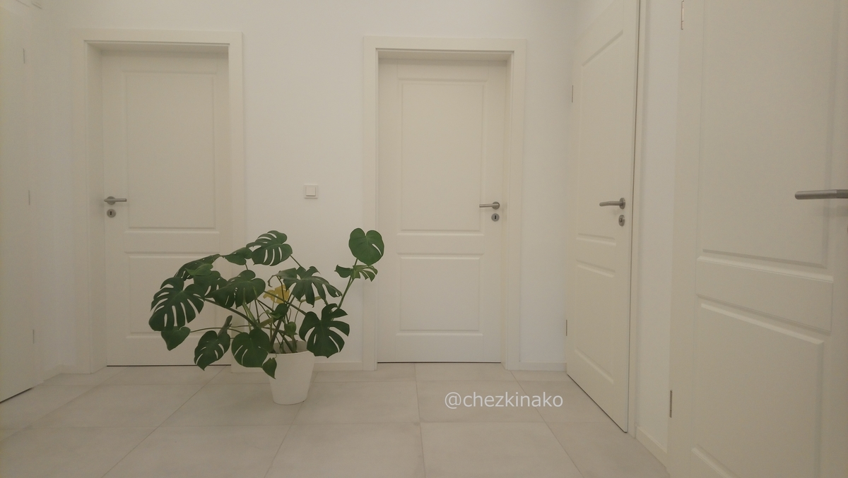 f:id:chezkinako:20210301050536j:plain